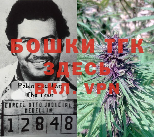 стаф Каменногорск