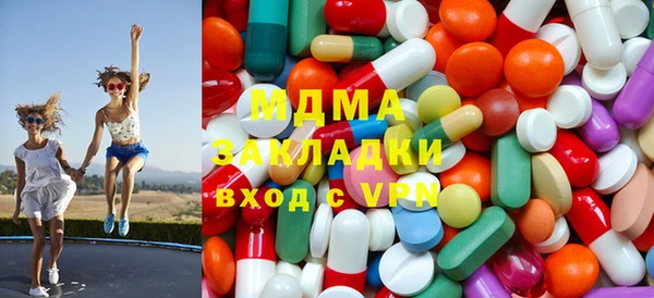 гидра Инта