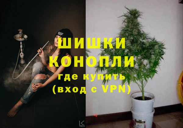 стаф Каменногорск