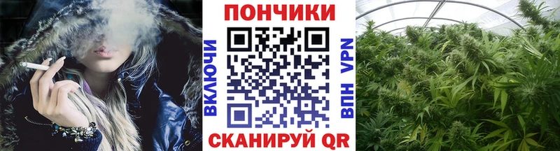 Конопля семена  Купить где  Пойковский 